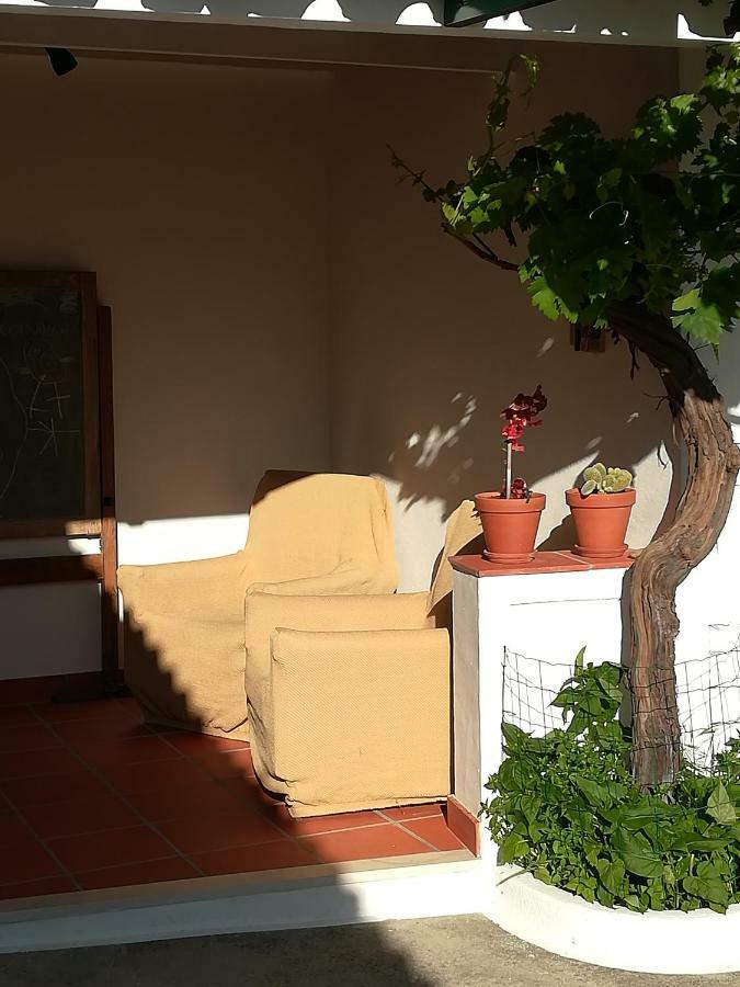 Casa Dos Pedro'S Guest House Vila Nova  Exterior photo